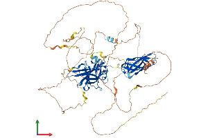 AlphaFold protein structure predicition of Mouse Recombinant Nfatc1 Protein, UniprotID O88942