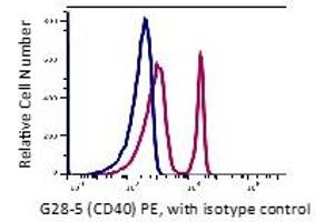 Flow Cytometry (FACS) image for anti-CD40 (CD40) antibody (PE) (ABIN6253102) (CD40 anticorps  (PE))