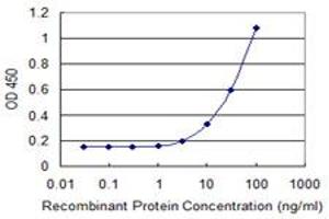 Detection limit for recombinant GST tagged TWIST1 is 1 ng/ml as a capture antibody. (TWIST1 anticorps  (AA 106-174))