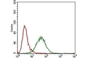 Flow cytometric analysis of Hela cells using GAB2 mouse mAb (green) and negative control (red). (GAB2 anticorps  (AA 332-476))