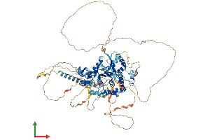 AlphaFold protein structure predicition of Human Recombinant OTUD7B Protein, UniprotID Q6GQQ9