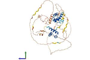 AlphaFold protein structure predicition of Human Recombinant POU3F3 Protein, UniprotID P20264