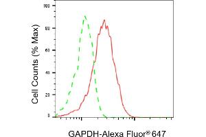 Flow cytometric analysis of GAPDH expression in HepG2 cells using GAPDH antibody (ABIN7798764), 1:2,000). (GAPDH anticorps)