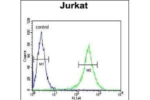GNE Antibody (C-term) (ABIN651511 and ABIN2840271) flow cytometric analysis of Jurkat cells (right histogram) compared to a negative control cell (left histogram).