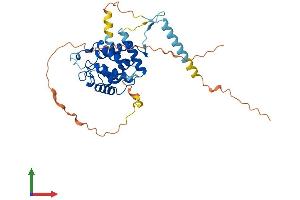 AlphaFold protein structure predicition of Human Recombinant CCNYL1 Protein, UniprotID Q8N7R7