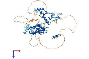 AlphaFold protein structure predicition of Mouse Recombinant Ubox5 Protein, UniprotID Q925F4