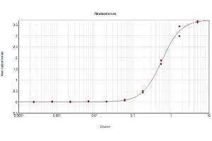 anti-Dextranase antibody (Biotin)