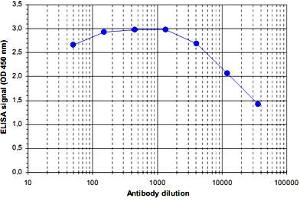 ELISA was performed using a serial dilution of Mll2 polyclonal antibody . (MLL2 anticorps)