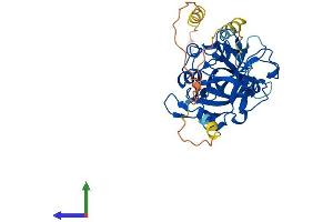 AlphaFold protein structure predicition of Mouse Recombinant Hmces Protein, UniprotID Q8R1M0