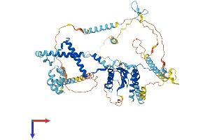 AlphaFold protein structure predicition of Mouse Recombinant Prpf3 Protein, UniprotID Q922U1