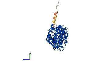 AlphaFold protein structure predicition of Human Recombinant DIMT1 Protein, UniprotID Q9UNQ2