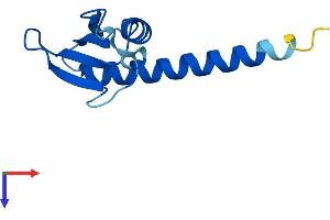 AlphaFold protein structure predicition of Human Recombinant POLR2J3 Protein, UniprotID Q9H1A7