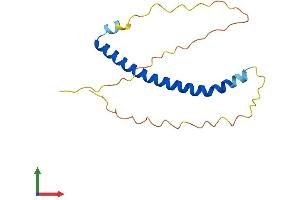 AlphaFold protein structure predicition of Mouse Recombinant Nap1l5 Protein, UniprotID Q9JJF0