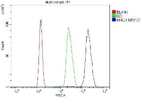 anti-Nonhomologous End-Joining Factor 1 (NHEJ1) (AA 1-273) antibody