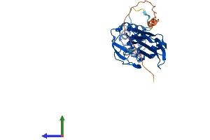 AlphaFold protein structure predicition of Mouse Recombinant Fbxo6 Protein, UniprotID Q9QZN4