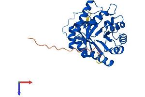 AlphaFold protein structure predicition of Human Recombinant CUTC Protein, UniprotID Q9NTM9