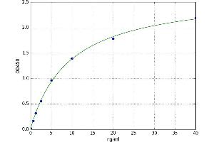 A typical standard curve (LGALS1/Galectin 1 Kit ELISA)