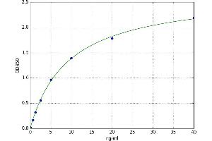 A typical standard curve