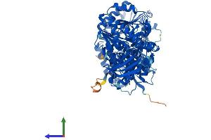 AlphaFold protein structure predicition of Human Recombinant GNE Protein, UniprotID Q9Y223