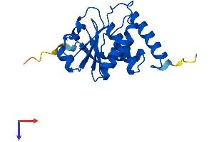 AlphaFold protein structure predicition of Mouse Recombinant Dusp28 Protein, UniprotID Q8BTR5