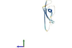 AlphaFold protein structure predicition of Mouse Recombinant Gcc1 Protein, UniprotID Q9D4H2