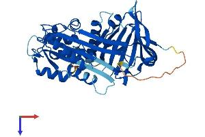 AlphaFold protein structure predicition of Mouse Recombinant Serpinb6 Protein, UniprotID Q60854