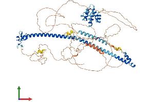 AlphaFold protein structure predicition of Mouse Recombinant Mefv Protein, UniprotID Q9JJ26