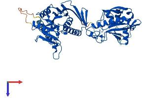AlphaFold protein structure predicition of Human Recombinant FKRP Protein, UniprotID Q9H9S5
