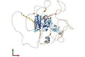 AlphaFold protein structure predicition of Mouse Recombinant Cblb Protein, UniprotID Q3TTA7