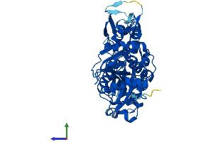 AlphaFold protein structure predicition of Human Recombinant ACTR2 Protein, UniprotID P61160