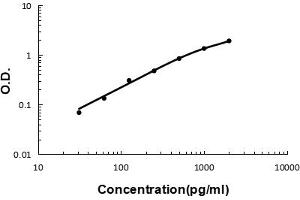 Sandwich ELISA - Recombinant human GDF-15 protein standard curve. (GDF15 anticorps  (AA 195-308))