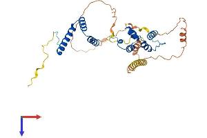 AlphaFold protein structure predicition of Mouse Recombinant Fbxo16 Protein, UniprotID Q9QZM9