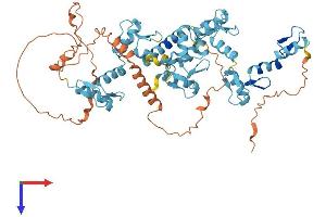 AlphaFold protein structure predicition of Human Recombinant ZNF181 Protein, UniprotID Q2M3W8