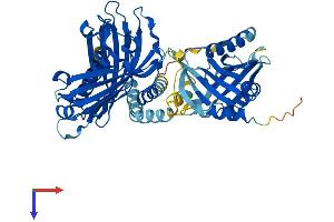 AlphaFold protein structure predicition of Human Recombinant ACOT12 Protein, UniprotID Q8WYK0