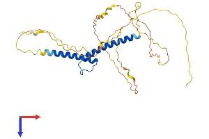 AlphaFold protein structure predicition of Human Recombinant TAL1 Protein, UniprotID P17542