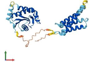 AlphaFold protein structure predicition of Human Recombinant SEC22C Protein, UniprotID Q9BRL7