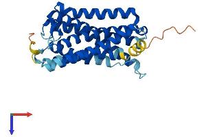 AlphaFold protein structure predicition of Mouse Recombinant Rgr Protein, UniprotID Q9Z2B3