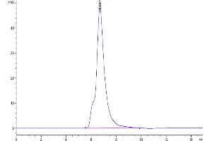 The purity of Biotinylated Human IL-2 R gamma is greater than 95 % as determined by SEC-HPLC.