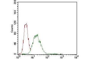 Flow cytometric analysis of Hela cells using CDX2 mouse mAb (green) and negative control (red).