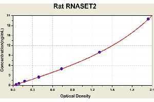 Diagramm of the ELISA kit to detect Rat RNASET2with the optical density on the x-axis and the concentration on the y-axis. (RNASET2 Kit ELISA)
