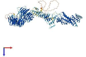AlphaFold protein structure predicition of Mouse Recombinant Copa Protein, UniprotID Q8CIE6
