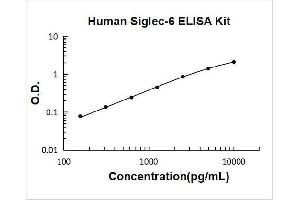 Sialic Acid Binding Ig-Like Lectin 6 (SIGLEC6) ELISA Kit