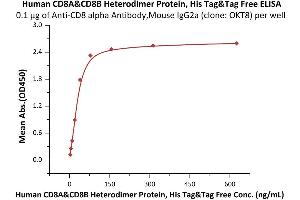 Immobilized Anti-CD8 alpha Antibody, Mouse IgG2a (clone: OKT8) at 1 μg/mL (100 μL/well) can bind Human CD8A&CD8B Heterodimer Protein, His Tag&Tag Free (ABIN6973026) with a linear range of 2-39 ng/mL (Routinely tested).