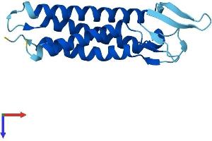 AlphaFold protein structure predicition of Human Recombinant EMP3 Protein, UniprotID P54852
