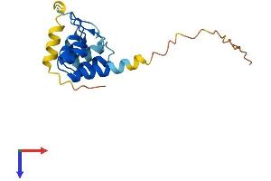 AlphaFold protein structure predicition of Mouse Recombinant Ankrd37 Protein, UniprotID Q569N2