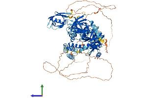 AlphaFold protein structure predicition of Human Recombinant DLG1 Protein, UniprotID Q12959