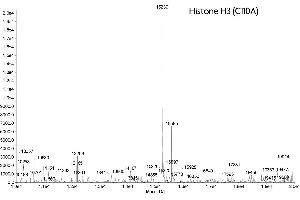 Mass Spectrometry (MS) image for Histone H3 (H3) (C110A) protein (ABIN2669496)