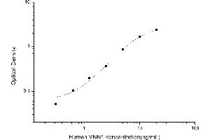 Typical standard curve (VNN1 Kit ELISA)