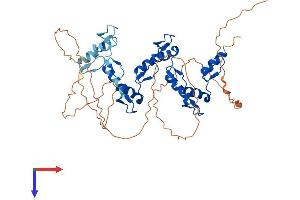 AlphaFold protein structure predicition of Human Recombinant ZNF239 Protein, UniprotID Q16600
