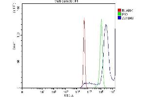 Flow Cytometry analysis of SiHa cells using anti-ZBTB48 antibody (ABIN7599504). (ZBTB48 anticorps  (AA 1-623))